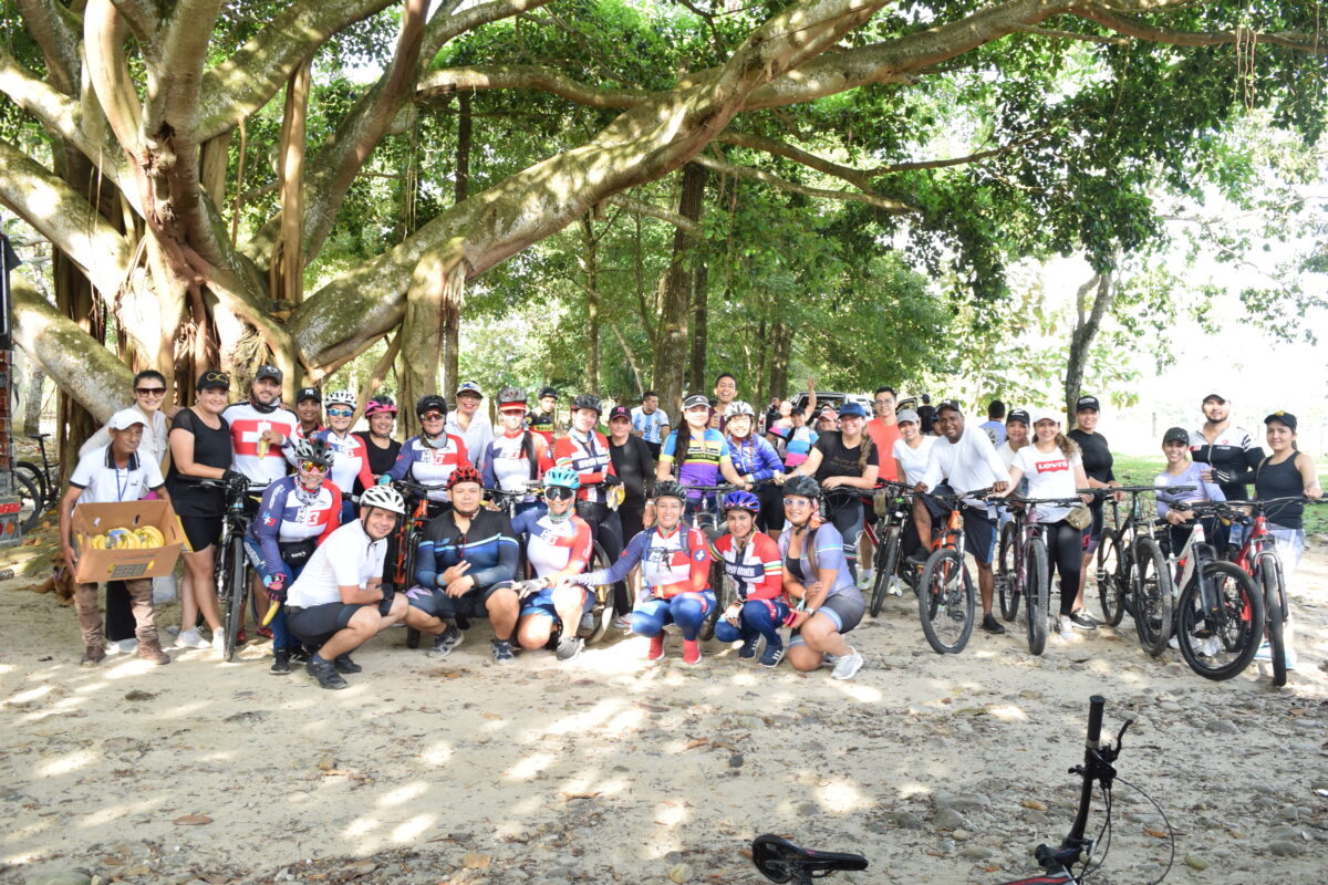 Some of the best ideas come from sitting under a tree.  This fig is in Columbia.